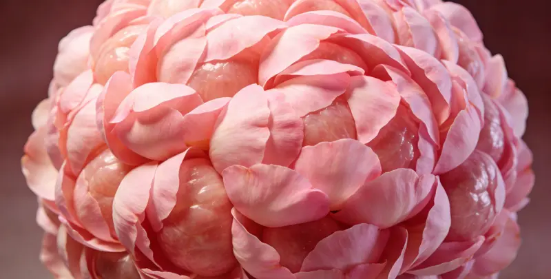 汕头乳腺癌21基因mRNA表达分析检测图1